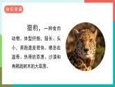 7《什么比猎豹的速度更快》课件+教案+导学案+素材