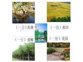识字1 《场景歌》 课件  2022-2023学年部编版语文二年级上册