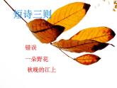 部编版四年级语文上册--3.1秋晚的江上-课件