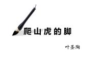 小学语文人教部编版四年级上册10 爬山虎的脚教课课件ppt