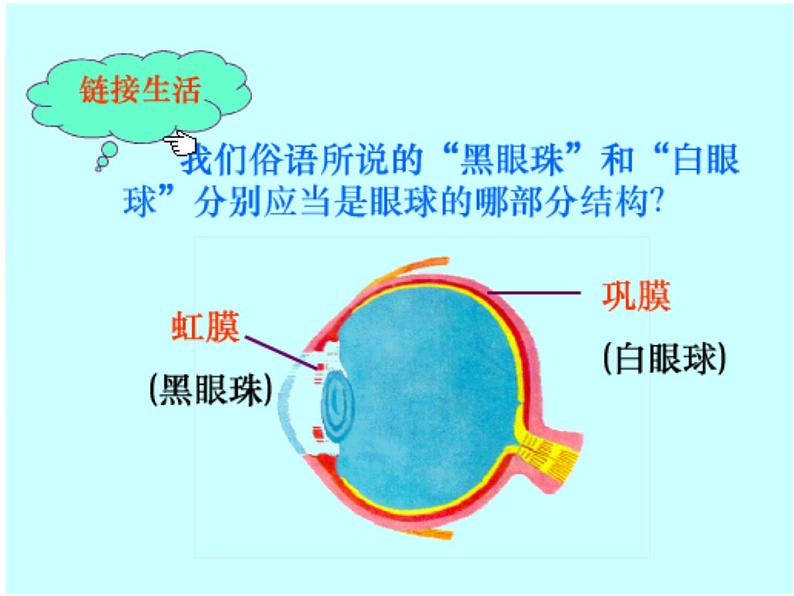 部编版四年级语文上册--口语交际：爱护眼睛，保护视力-课件05