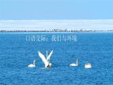 部编版四年级语文上册--《口语交际：我们与环境》课件1