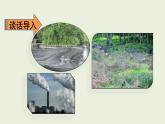 部编版四年级语文上册--《口语交际：我们与环境》课件2