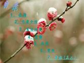 部编版四年级语文上册--9.3雪梅-课件2