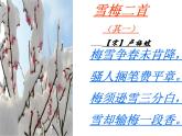 部编版四年级语文上册--9.3雪梅-课件2