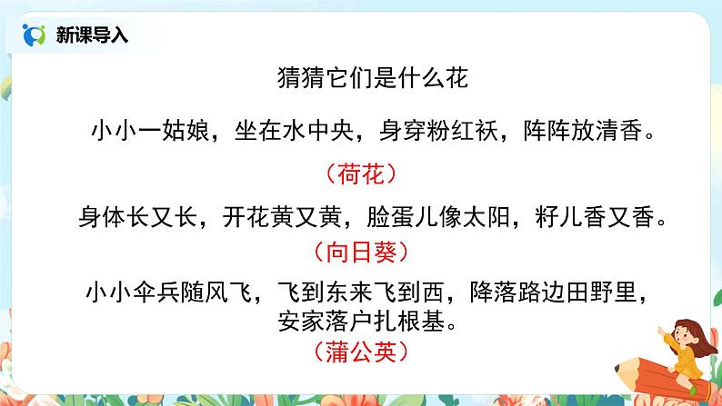 《金色的草地》课件+教案+练习02