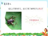 《蟋蟀的住宅》第二课时课件PPT+教案+练习
