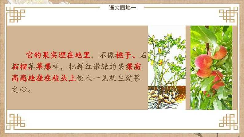 第一单元《语文园地》（第二课时）课件+教案03