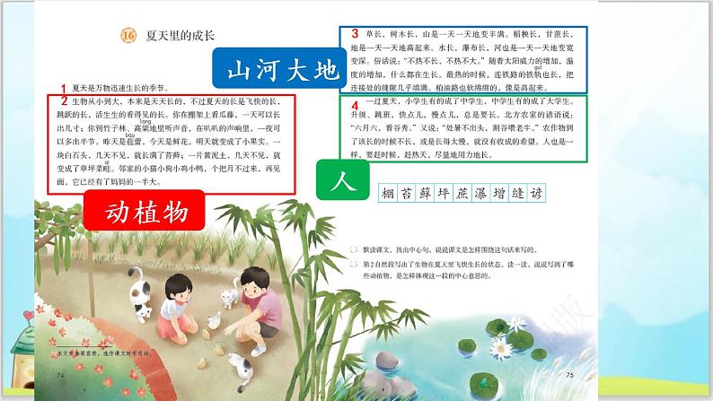 部编版6上语文16《夏天里的成长》课件PPT+教案08