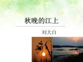 部编版四年级语文上册--3.1秋晚的江上-课件4