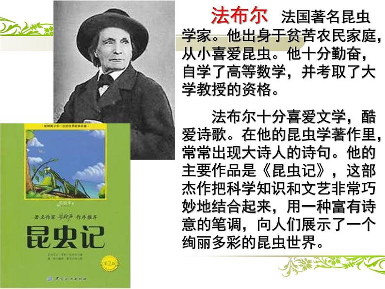 部编版四年级语文上册--11.蟋蟀的住宅-课件4第2页