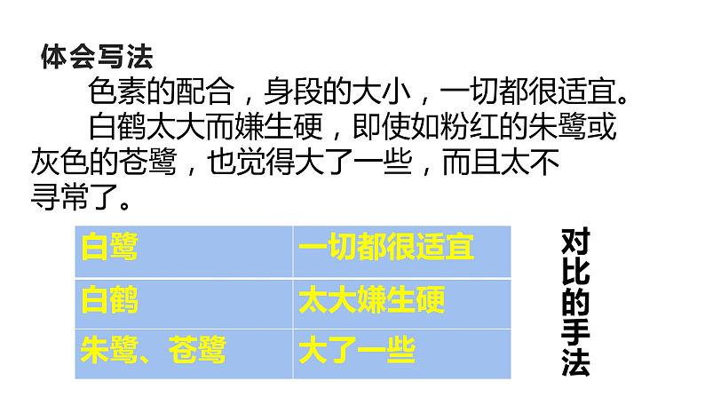 人教部编版语文五年级上册 1.白鹭  课件1第6页