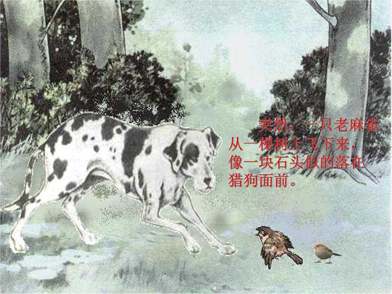 部编版四年级语文上册--16.麻雀-课件第7页