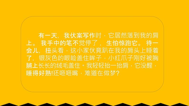 人教部编版语文五年级上册 4.珍珠鸟  课件1第5页