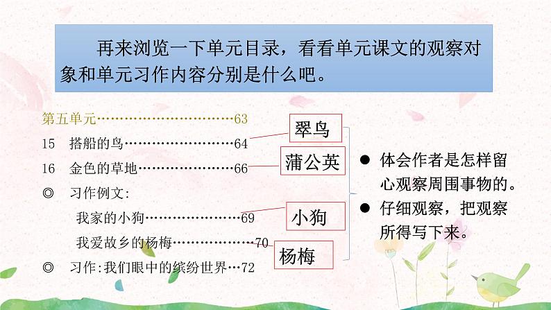 15《搭船的鸟》第一课时课件+教案05