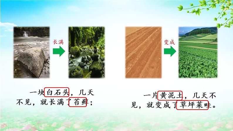 5.1《夏天里的成长》（第二课时）课件第7页