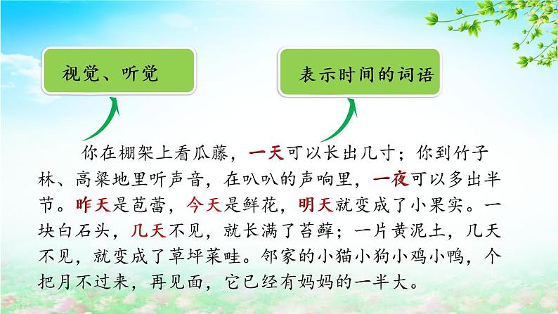 5.1《夏天里的成长》（第二课时）课件第8页