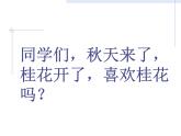 部编版五年级语文上册--3.桂花雨-课件