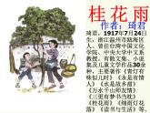 部编版五年级语文上册--3.桂花雨-课件1