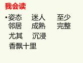 部编版五年级语文上册--3.桂花雨-课件1