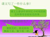 部编版五年级语文上册--3.桂花雨-课件1