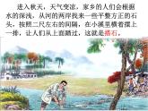 部编版五年级语文上册--5.搭石-课件2