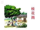 部编版五年级语文上册--3.桂花雨-课件2