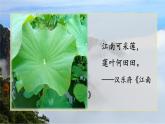 6.1《古詩三首--江南春、書湖陰先生壁》課件+教案+視頻資料