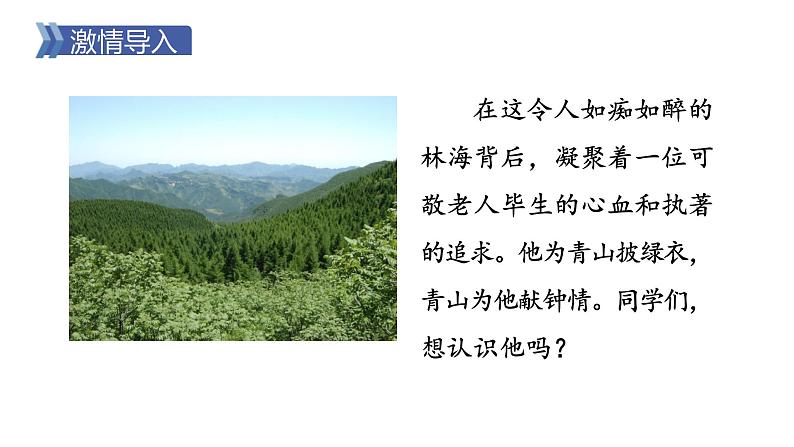 6.3《青山不老》课件第2页