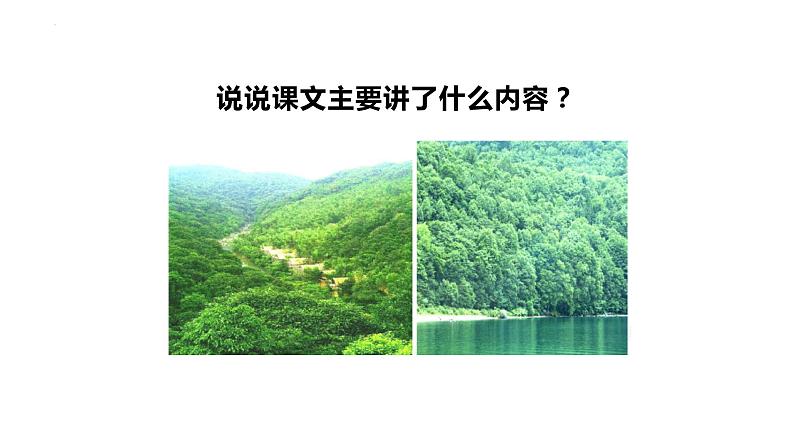 6.3《青山不老》课件第4页