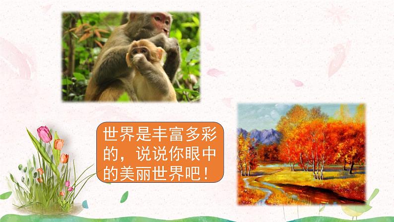 习作：我们眼中的缤纷世界课件+教案04