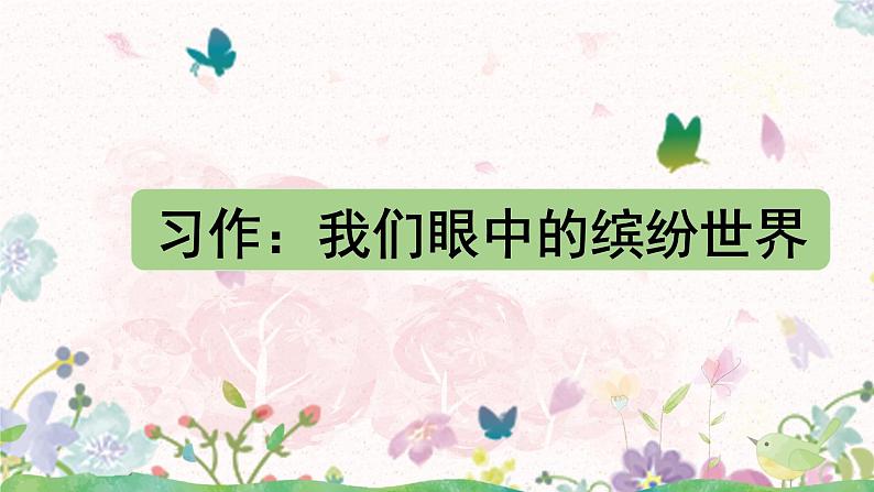 习作：我们眼中的缤纷世界课件+教案05