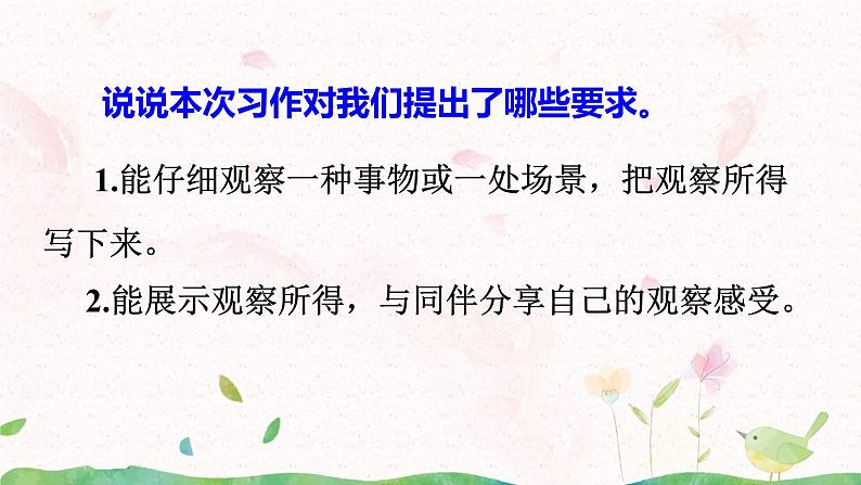 习作：我们眼中的缤纷世界课件+教案08