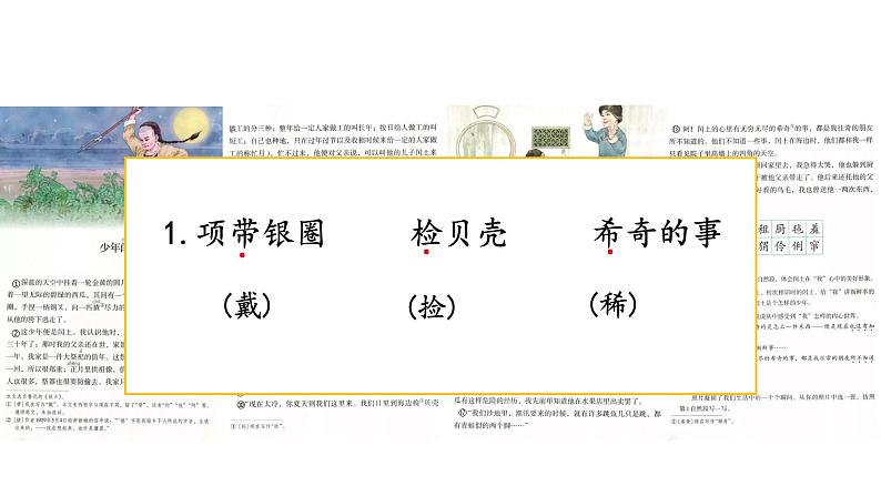 8.1《少年闰土》课件第3页