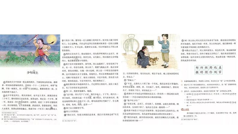 8.1《少年闰土》课件第7页