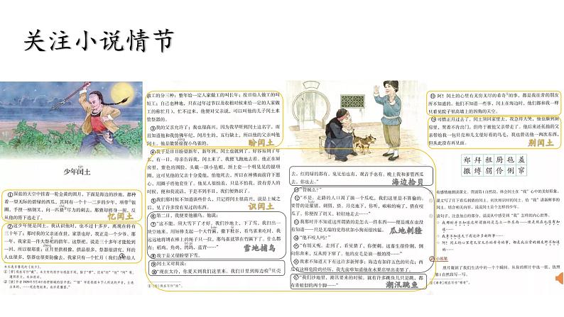 8.1《少年闰土》课件第8页