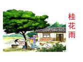 部编版五年级语文上册--3.桂花雨-课件4