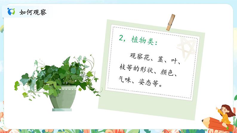 习作《写观察日记》课件PPT+教案07