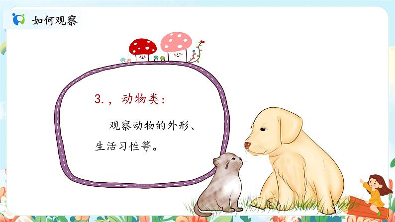 习作《写观察日记》课件PPT+教案08