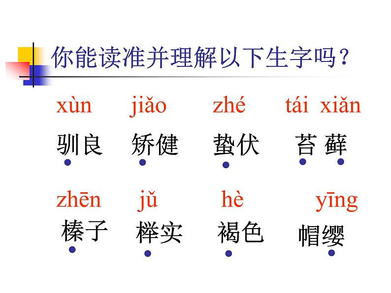 部编版五年级语文上册--17.松鼠-课件06