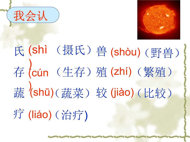 部编版五年级语文上册--16.太阳-课件第3页