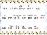 部编版五年级语文上册--16.太阳-课件2