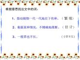 部编版五年级语文上册--16.太阳-课件2