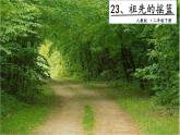 二年级下册语文课件－ 23 祖先的摇篮 第一课时｜人教（部编版）  (共20张PPT)