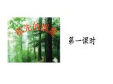 二年级下册语文课件－ 23 祖先的摇篮 第一课时｜人教（部编版）  (共20张PPT)