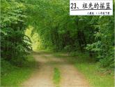 二年级下册语文课件－ 23 祖先的摇篮. 第二课时｜人教（部编版）  (共13张PPT)