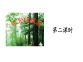二年级下册语文课件－ 23 祖先的摇篮. 第二课时｜人教（部编版）  (共13张PPT)