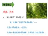 二年级下册语文课件－ 23 祖先的摇篮. 第二课时｜人教（部编版）  (共13张PPT)