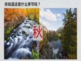人教部编版语文五年级上册22.古诗三首——山居秋暝  课件