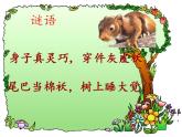 部编版五年级语文上册--17.松鼠-课件3